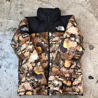 Supreme Supreme×The north face 16AW Nuptse