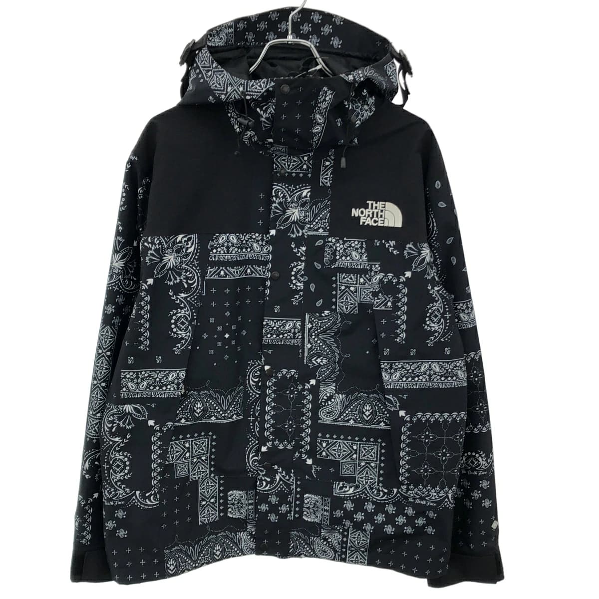 THE NORTH FACE ザノースフェイス NOVELTY GTX MOUNTAIN JACKET GORE-TEX ペイズリーマウンテンジャケット