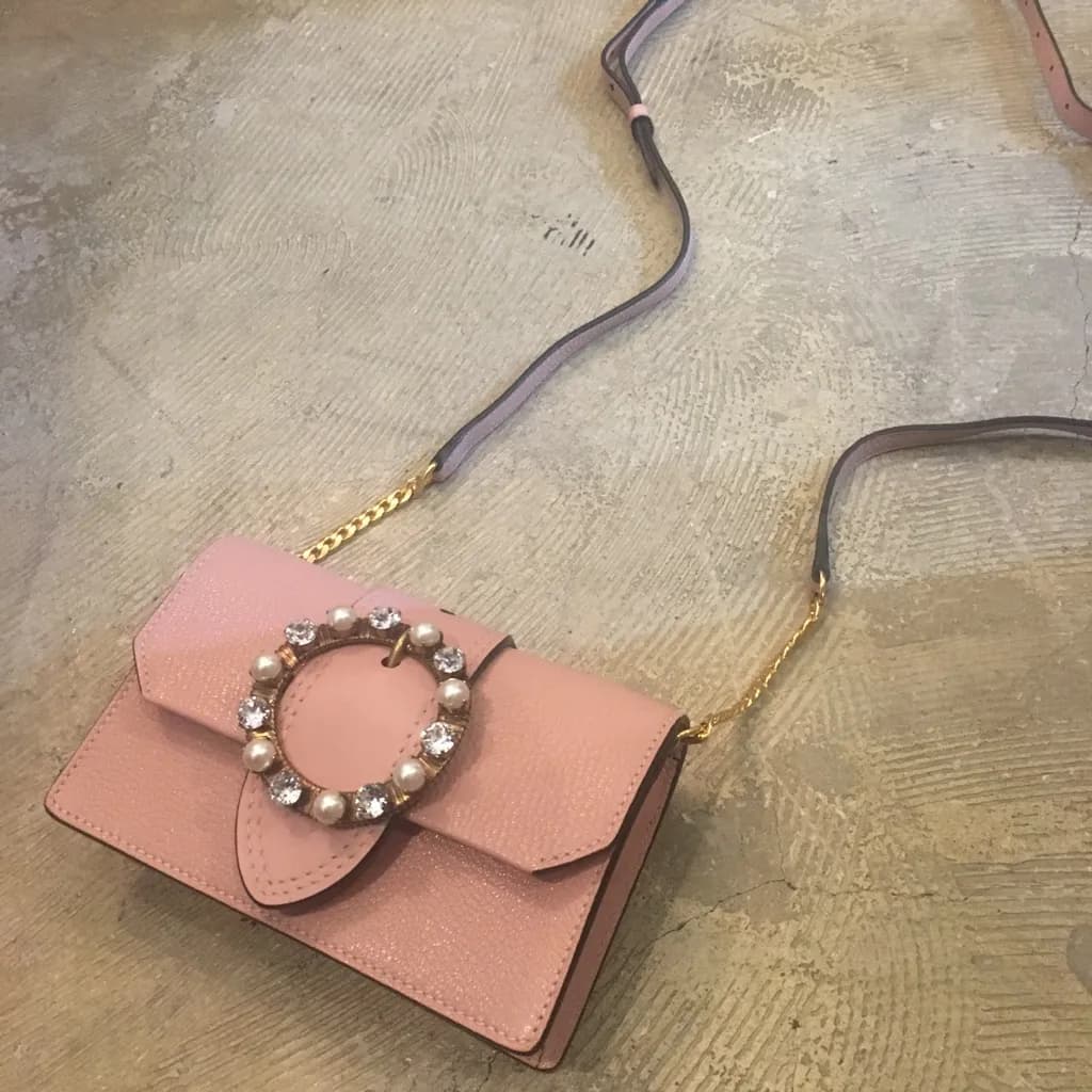 miu miu miumiu 17SS BERT BAG