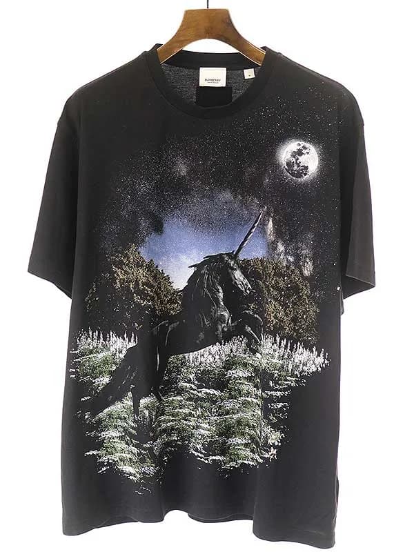 BURBERRY バーバリー 21SS メドウプリントオーバーサイズTシャツ
