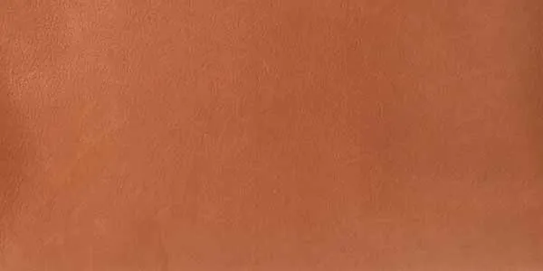 セーム