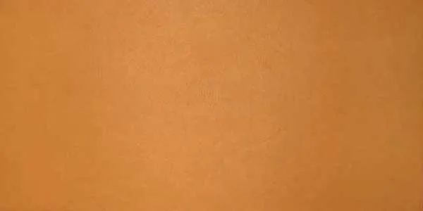 ヴァッシュ