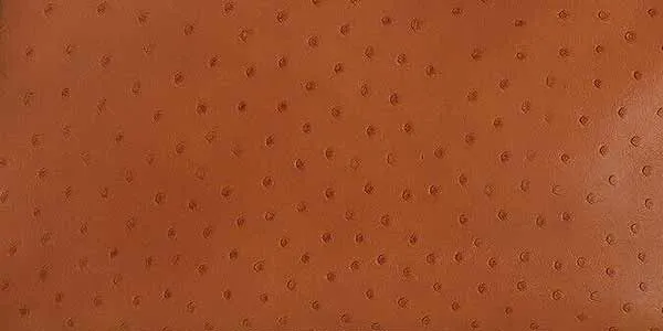 オーストリッチ