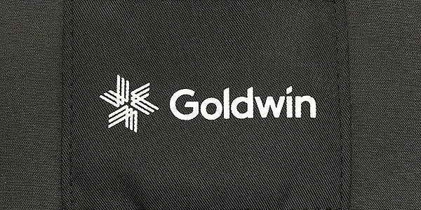 Goldwin