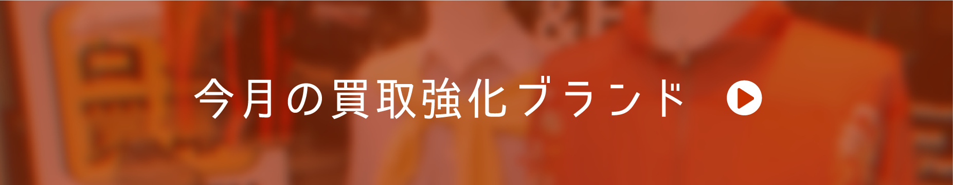 今月の強化ブランド