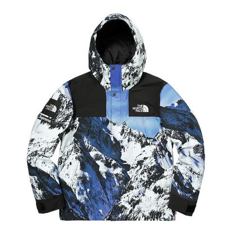 Supremeのサンプリングアイテム[THE NORTH FACE ダウンジャケット] | モードスケープ | ブランド古着買取の専門店